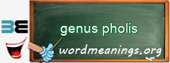 WordMeaning blackboard for genus pholis